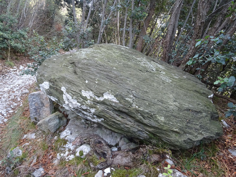 Masso erratico - Malcesine (VR)